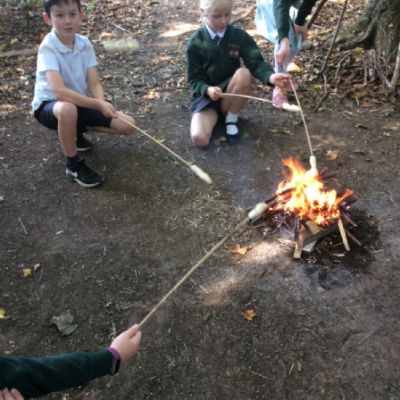 Oxenwoodanotherday102)