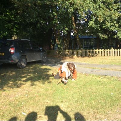 Oxenwoodanotherday11)