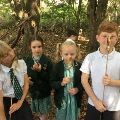 Oxenwoodanotherday111)