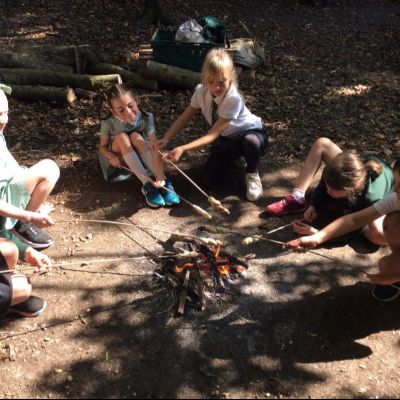 Oxenwoodanotherday114)