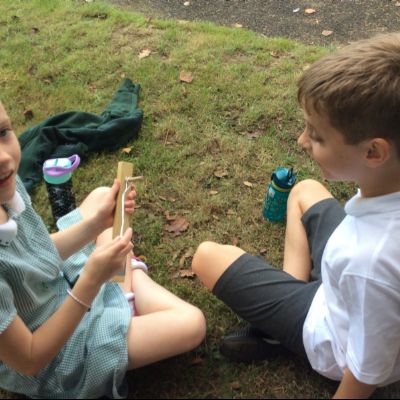 Oxenwoodanotherday130)