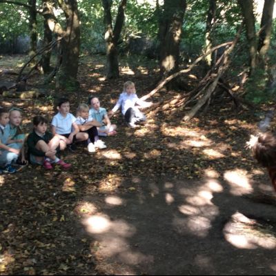 Oxenwoodanotherday50)