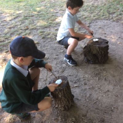 Oxenwoodanotherday59)