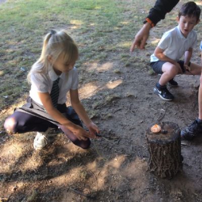 Oxenwoodanotherday61)