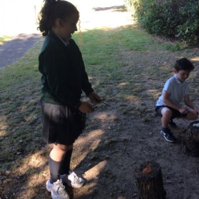 Oxenwoodanotherday64)