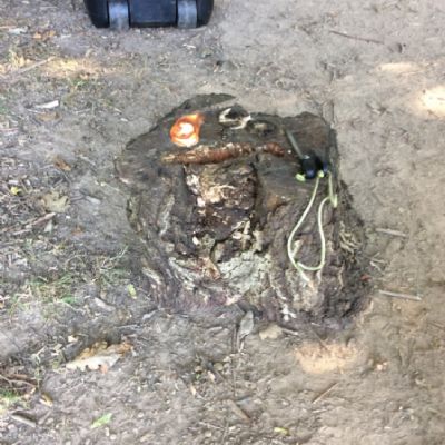 Oxenwoodanotherday65)