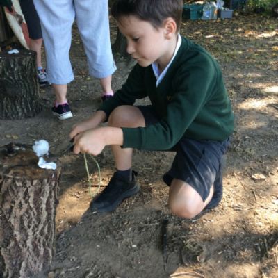 Oxenwoodanotherday67)