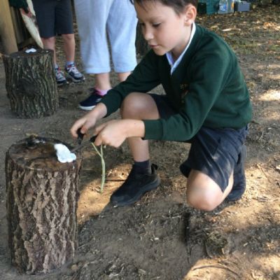 Oxenwoodanotherday68)