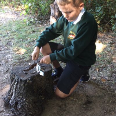 Oxenwoodanotherday69)