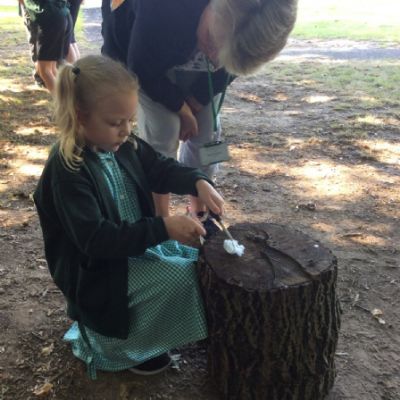 Oxenwoodanotherday72)