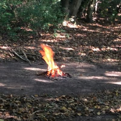 Oxenwoodanotherday73)