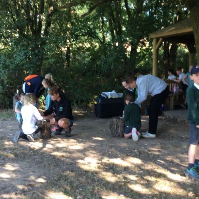 Oxenwoodanotherday78)