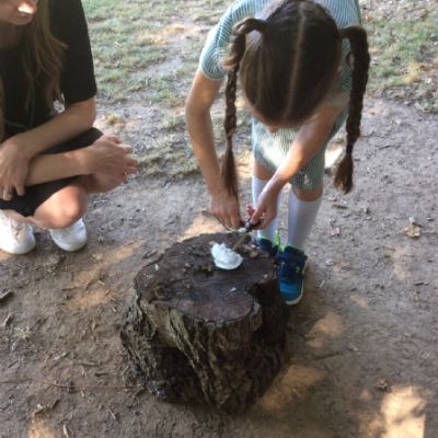 Oxenwoodanotherday88)