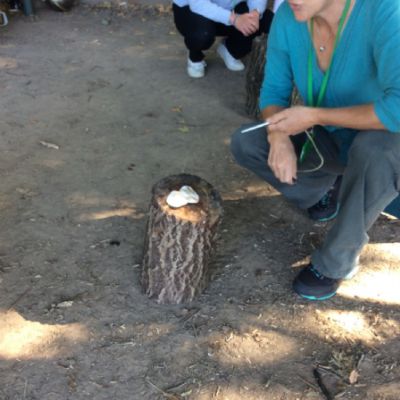 Oxenwoodanotherday89)