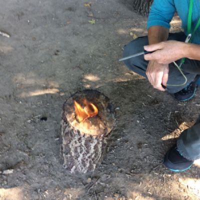 Oxenwoodanotherday90)