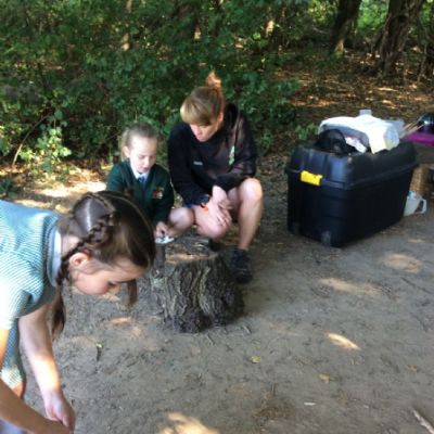 Oxenwoodanotherday91)