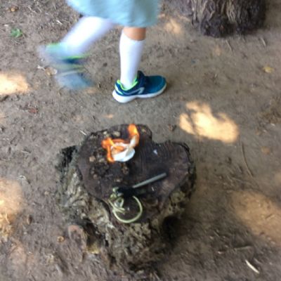 Oxenwoodanotherday92)