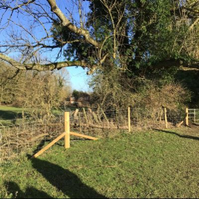 Y4walkaboutOldBasing17)